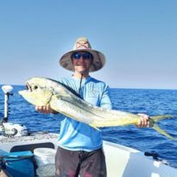 Excited anglers await next Mahi-Mahi bite