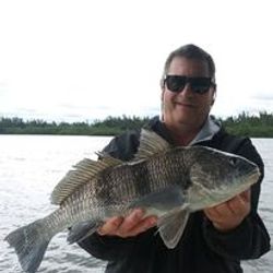 A black drum fish caught in Vero Beach