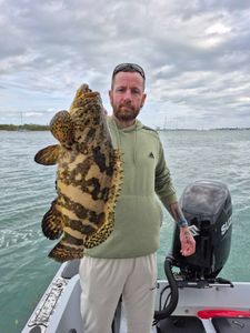Orange-spotted grouper caught while fishing in Vero Beach