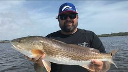 Redfish caught while fishing in FL