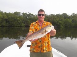 A redfish caught at Vero Beach while fishing