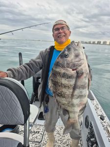 Sheepshead fish caught while fishing in FL