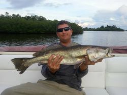 Spotted Weakfish caught while fishing in Vero Beach
