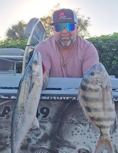 Sheepshead and Spanish Mackerel fish caught in FL