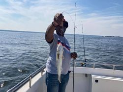A bluefish caught while fishing in MD