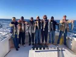 A group of 8 striped bass caught fishing in MD