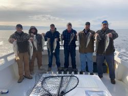 Nine striped bass caught at Church Creek