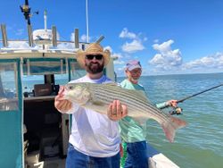 Striped bass caught in Church Creek