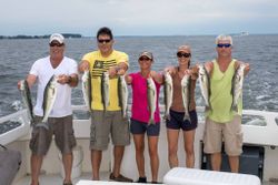 10 striped bass caught in MD