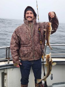 New Hampshire fishing: Cod in the act!