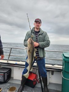 Cod bliss with New Hampshire fishing charter!