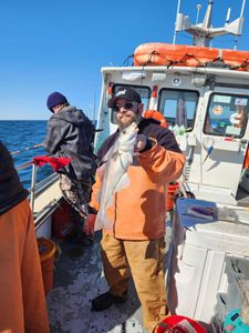 Haddock glory on Rye Harbor fishing charters.