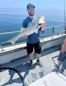 Striped bass success with Rye Harbor Fishing!