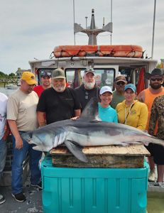 At this point, we catch a Porbeagle every trip!