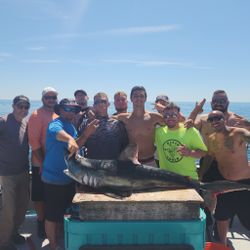 11 people fishing in Rye