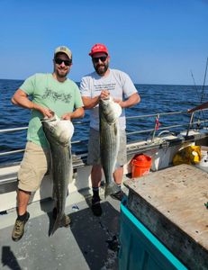 All our big fish are safely released!