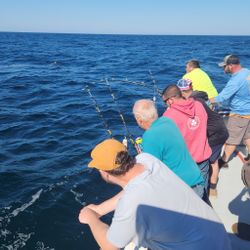 Two people fishing in Rye