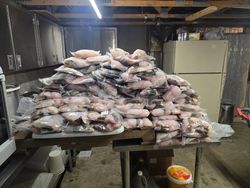 Scenic landscape in NH with fishing equipment