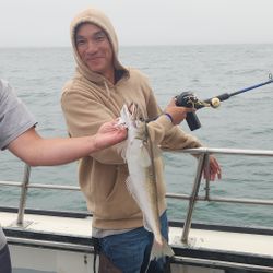 Single fishing enthusiast reeling in a catch in Rye