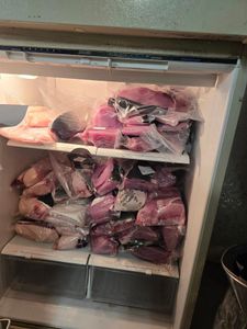 Scenic landscape with trees in New Hampshire