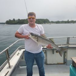Striped bass caught in NH