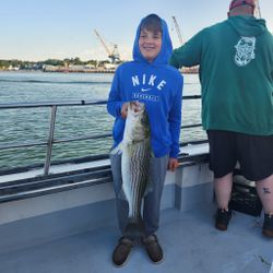 Striped bass caught while fishing in Rye