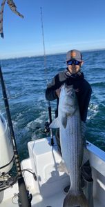 Striped Bass Wonderland: Massachusetts Calling