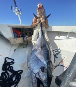 Tuna Tales: Massachusetts Adventures Await