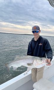 Striped Bass Dreams, Massachusetts Reality