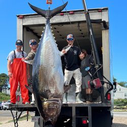 Tuna Tales in Massachusetts Waters