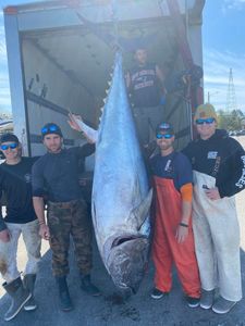 Unleash Adventure: Tuna Fishing Massachusetts