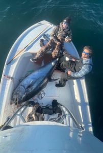 Massachusetts Fishing Escapade Begins