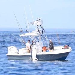 Tuna Spectacle: Massachusetts Calling