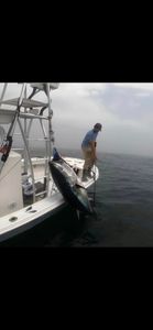 Unlock Tuna Magic in Massachusetts