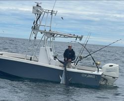 Book Now: Tuna Tales in Massachusetts Waters
