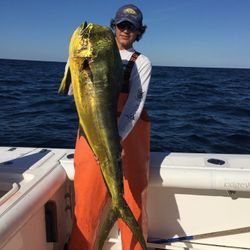 Mahi Mahi Trophy in Massachusetts Fishing Trips