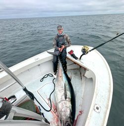 Striped Bass Serenity, Massachusetts Style