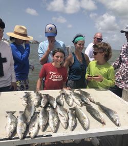 10 blackfin tuna fish caught in Galveston
