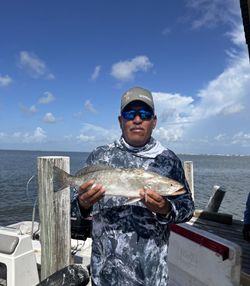 A fisherman holding a 18-inch fish in Galveston