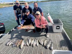 One big fish caught while fishing in Galveston
