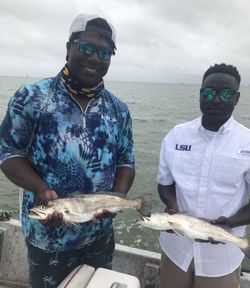 2 spotted weakfish caught fishing in Galveston