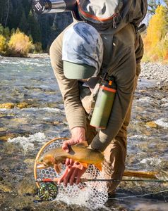 Trout Fishing near Dubois, WY
