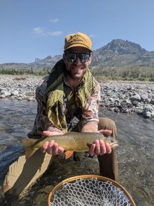 Fly Fishing for Brown Trout in Wyoming 