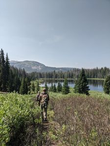 Fun-Filled Wyoming Guided Fly Fishing Trip