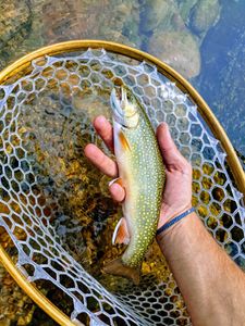 A fly fishing scene in Wyoming