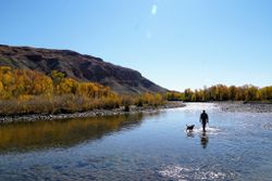 Scenic landscape in WY