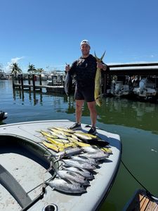 Little Tunny fish caught while fishing in Islamorada