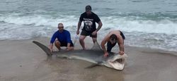 A successful fishing trip at Jensen Beach