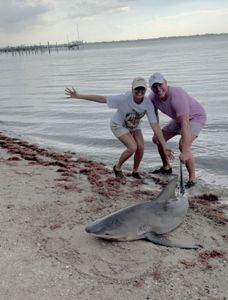 Bull shark caught while fishing in FL