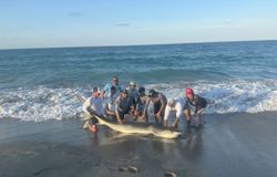 Five friends fishing in Florida